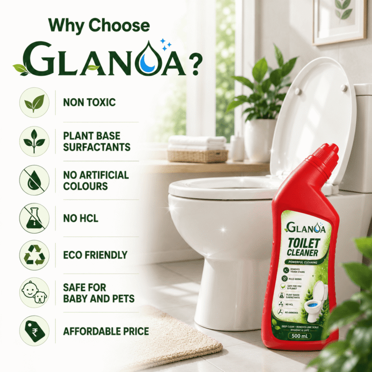 Glanoa Toilet Cleaner (1)