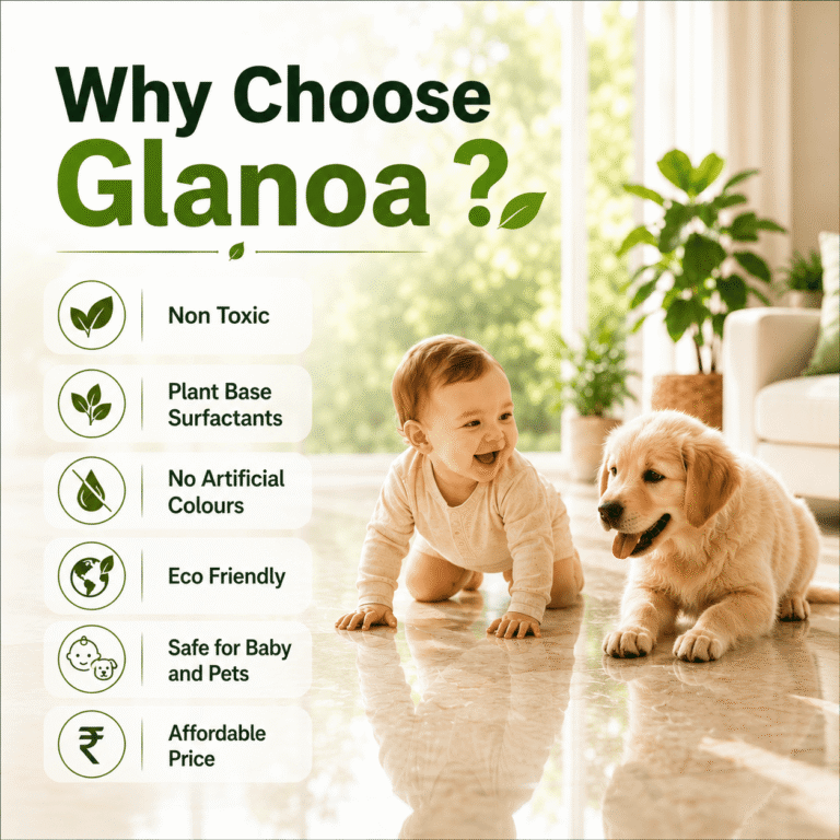 Glanoa Floor Cleaner (2)